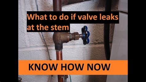 shut off valve leaking at stem|4 Ways to Fix a Leaking Main Water Shut off Valve